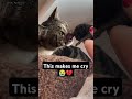 THIS MAKES ME CRY 😭😭💔💔🥀🥀ll CANCER CAT 🥺🥺POOR 🥀#cat #catlover #sad #poorcat