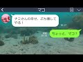 【line】夫を略奪した会社の後輩から結婚生活のマウント連絡→私が今は社長夫人と知ると夫の浮気をでっち上げてきたので先回りして証拠を突きつけた結果…ｗ