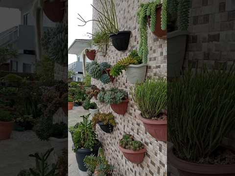 Home Garden Decorating Ideas #garden #home #homedecor #viral #shorts #shortvideo #plants #house