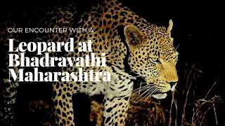 Our encounter with a Leopard at Bhadravathi, Maharashtra #must watch