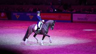 Goodbye Valegro final exhibition KWPN stallion show 2017