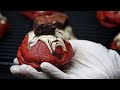 Red Velvet Brownie Stuffed Cookies | Trendy New York Style Monster Cookies | 6.7oz