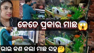 ଭାଇ କଣ କଲା ମାଛ ସହ ମୁଁ ଦେଖିଲି🙄ବହୁତ ସୁନ୍ଦର ଲାଗୁଛି Aquarium🥰‎@Minakshi Mishra,#odiavlog, #aquarium