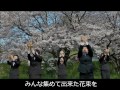 「桜ノ雨」 2014 jsl japanese sign language 手話