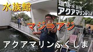 【福島】アクアマリンふくしまで釣り？水族館で釣り？