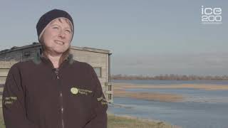 Draining of the Fens