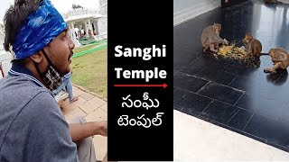 Sanghi Temple || సంఘీ టెంపుల్ || Amigo Telugu Vlog