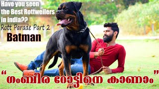 BATMAN OF THE LITTLE GODFATHER || Rott Parade : PART 2 || Top Leading Rottweilers in INDIA