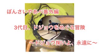 ぼんさいやあべ番外編　3代目、ドジョウをめぐる冒険