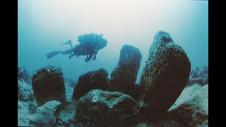 Submerged 9,000 Y. O. Atlit Yam \u0026 17 Other Underwater Nearby Sites