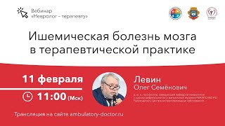 Ишемическая болезнь мозга в терапевтической практике. 11.02.20