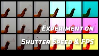 왜 셔터 스피드는 FPS의 2배로 셋팅할까? (Experiment on shutter speed and FPS)