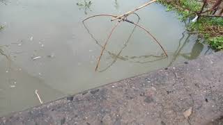 Amazing Fishing Trap Using Net(2).