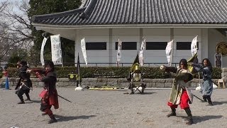 「葵」武将隊★開運ロード ｿﾛ:ちーむ台湾+戦国の剣2014.03.16AM