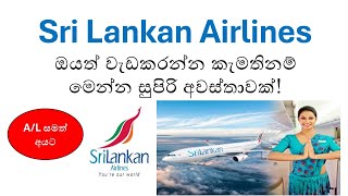 Latest SriLankan Airlines Job Vacancies 2024 | Apply Now for Exciting Career Opportunities!