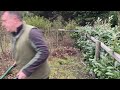 pruning soft fruit revamping an old soft fruit garden