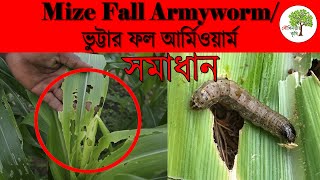 #Mize_Fall_Armyworm_Control #AgriBlog2#  ভুট্টার ফল আর্মিওয়ার্ম পোকার পরিচিতি লক্ষণ ও দমন দব্যবস্থা