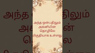 திருவண்ணாமலை facts in Tamil# இது 9 கோபுரங்களின் பெயர்கள் எதன் நினைவாக வைக்கப்பட்டது..??#minivlog..