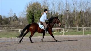 Izar \u0026 Princesse Parcours de travail en CSO 30/11/14