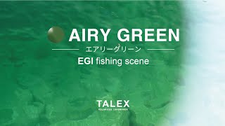 エアリーグリーンの見え方　エギング編【TALEX公式】