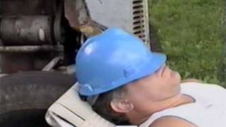 Chipmunk Gets in Hardhat- PetTube