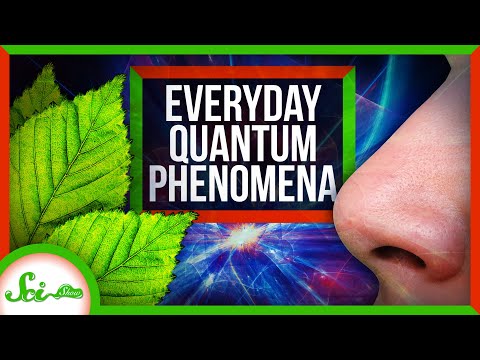 How Quantum Mechanics Affects Your Life Safe Videos For Kids