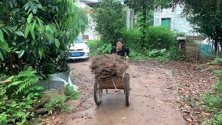 打虎亲兄弟，上阵父子兵！兄弟联手血战不良少年，精彩无比。