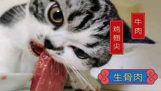 【生骨肉吃播】牛年吃牛！发发吃牛！