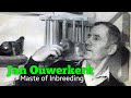 The Master of Inbreeding - Jan Ouwerkerk - Piet Verbart (Verbart 46)