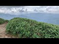 【登山】2021 08 31 寒風山.笹ヶ峰 笹の稜線 四国の絶景