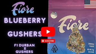 Blueberry Gushers by Fiore Genetics (Gushers x F1 Durban) Super Frosty