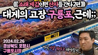 ‘홍게 한마리 값’ 15만원을 들고 산지를 찾아가면 생기는 일😱햐…이걸 뭐라고 해야할지…(포항 편 마지막)