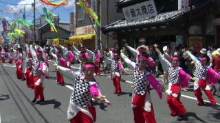 ２００９年７月２６日（日）　飛翠迅＠茂原七夕祭り　その２