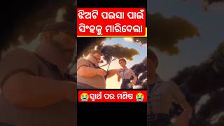 ସ୍ୱାର୍ଥପର ମଣିଷ#facts#cartoon#story#stories#odiastory#gapa#odiagapa#moralstories#newstory#kahani#yt