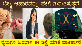 Top 5 Intresting fact ✅ ಎಲ್ಲಾ ಬೆಕ್ಕಿನ ಮೂಗು ಅಚ್ಚು ಒಂದೇ ರೀತಿ ಇರುವುದಿಲ್ಲ #kfi #kannadafact #intresting