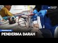 Pengenalan: Penderma Darah | MHI (12 Disember 2022)