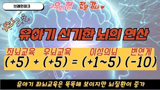 조기교육 파헤치기 - 유아기 좌뇌 조기 교육으로 뇌가 망가지는 과정