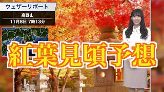 【紅葉見頃予想】今週末は東京・高尾山、来週末は京都・嵐山でも見頃に