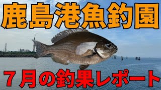 ７月の鹿島港魚釣園で釣れる魚はこれだ！！皆さんシマアジ狙い！！！