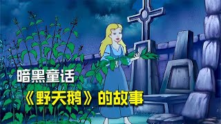 少女深夜去墓地采集蕁麻，只為讓哥哥們變回人形，童話《野天鵝》 #阿布的童話世界 #兒童故事 #中文童話 #童話故事 #漫畫