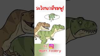 ระวังนกสีชมพู! #short #memeไทย #memes #meme #มีม #พากย์นรก #พากย์ไทยอ่านมีมฮาๆ #ตลก #ฮาๆ