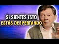 SI Observas ESTO, Estás CONECTANDO con la Conciencia Universal | Eckhart Tolle Español