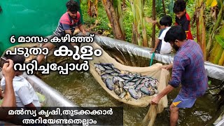 പടുതാ കുളം വറ്റിച്ചപ്പോൾ #fish_pond, മത്സ്യ കൃഷിയിലൂടെ വരുമാനം കണ്ടെത്താം, തുടക്കക്കാർ അറിയേണ്ടത്..