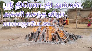 அக்னி வசந்த விழா | வாலாஜா ஸ்ரீ கிருஷ்ண பாண்டவ சமேத ஸ்ரீ திரவுபதி அம்மன் கோவில் | its temple vibe |