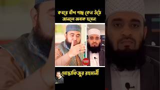 কবরে বাশ ঝার কেন হয় জানলে অবাক হবেন। #mizanur_rahman_azhari #waz #শায়খ_আহমাদুল্লাহ #islamicvideo