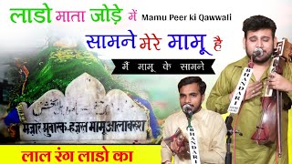 लाल रंग लाडो का। सामने मेरे मामू है। Mamu Peer ki Qawwali Lado Mata ke Jode Me। Sunny nath & Party