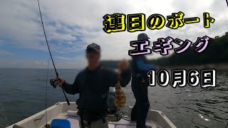 【三河湾】連日のボートエギング、朝は風が強くてエギング厳しかったです