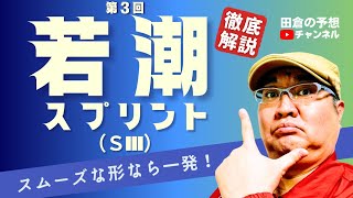 【田倉の予想 2023】第3回 若潮スプリント（ＳIII）徹底解説！