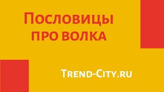 🐺 Пословицы про волка. Поговорки для 1,2,3,4,5 класса