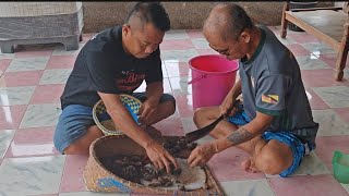 KOPEK BUAH EMPELANJAU ATAU BUAH EMPIT // MAK MAKAN BUAH TARAP //